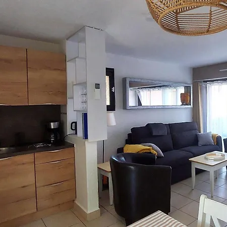 Magnifique T2 Renove, Climatise, 4 Pers Avec Terrasse Sud, Parking, Piscine Chauffee Et Mini Club - Fr-1-607-201 * Agde